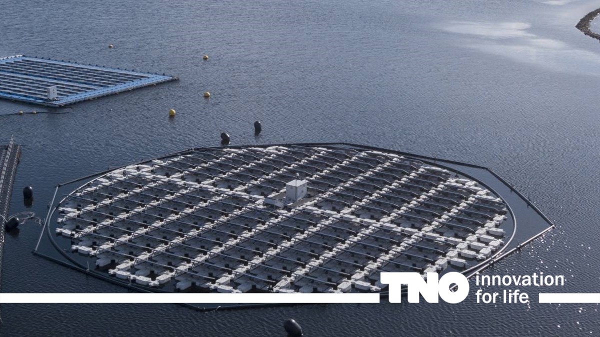 Floating Solar Panels Inland _ The Potential of Floating Solar Farms ...