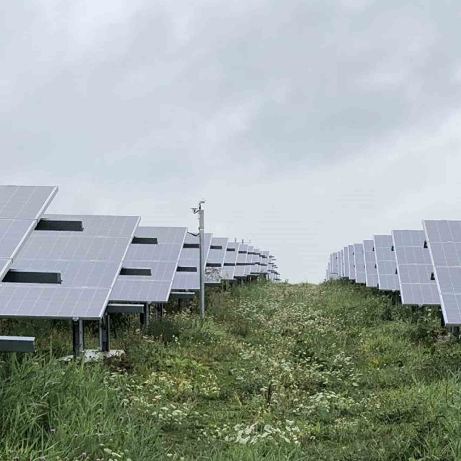 Solar farm with focus on spatial quality, biodiversity and multiple land use