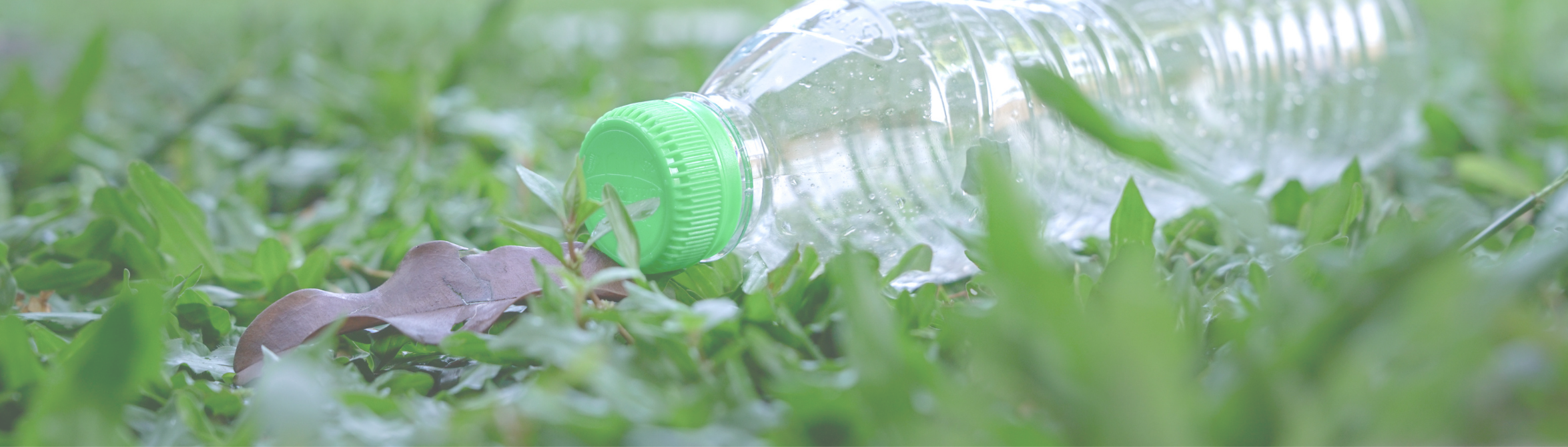Plastic fles in het gras
