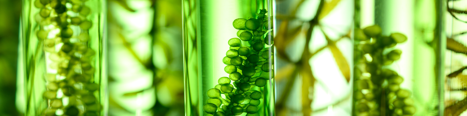 Green chemistry in tubes