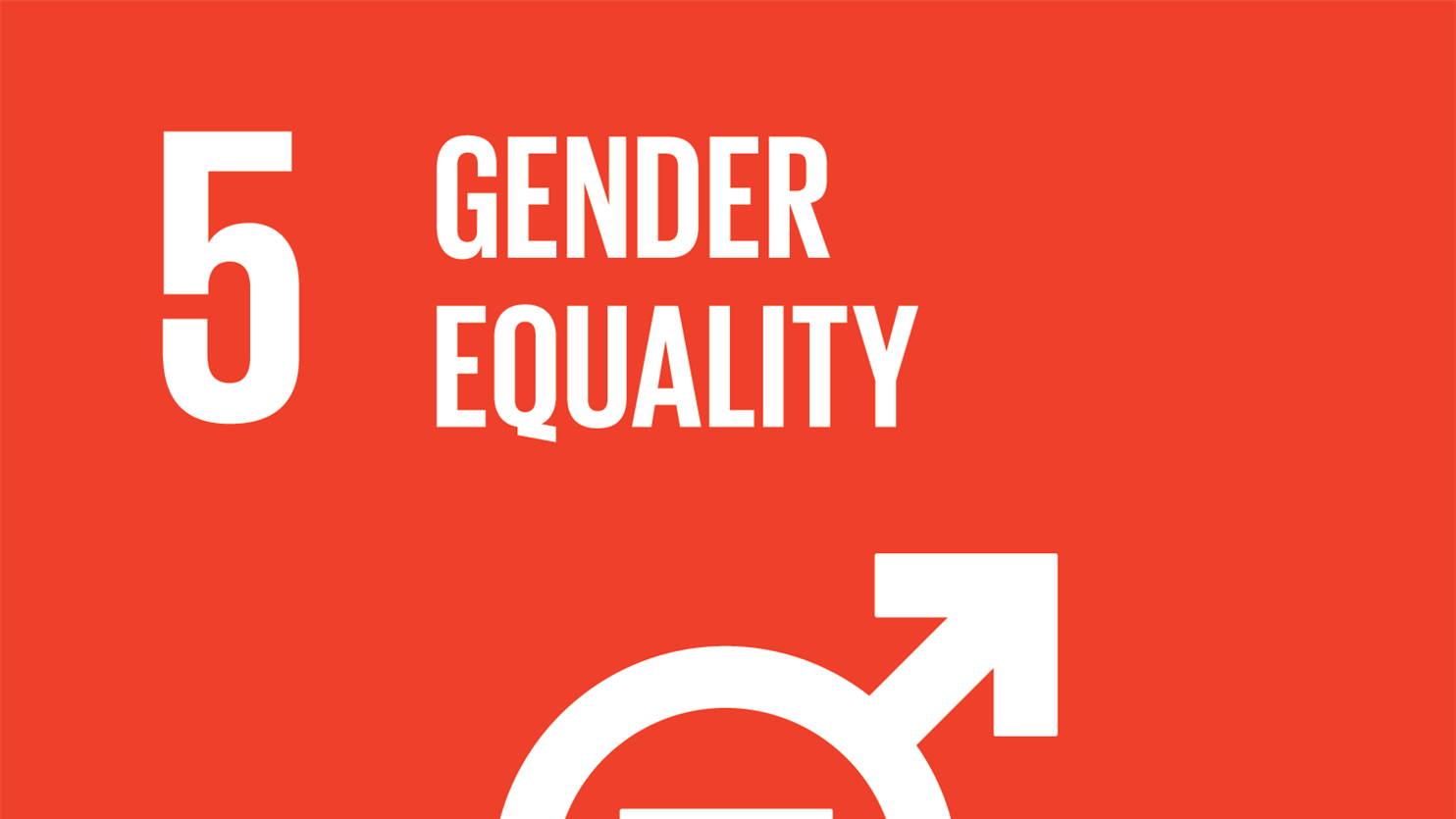 Sustainability goal 5: Gender Equality