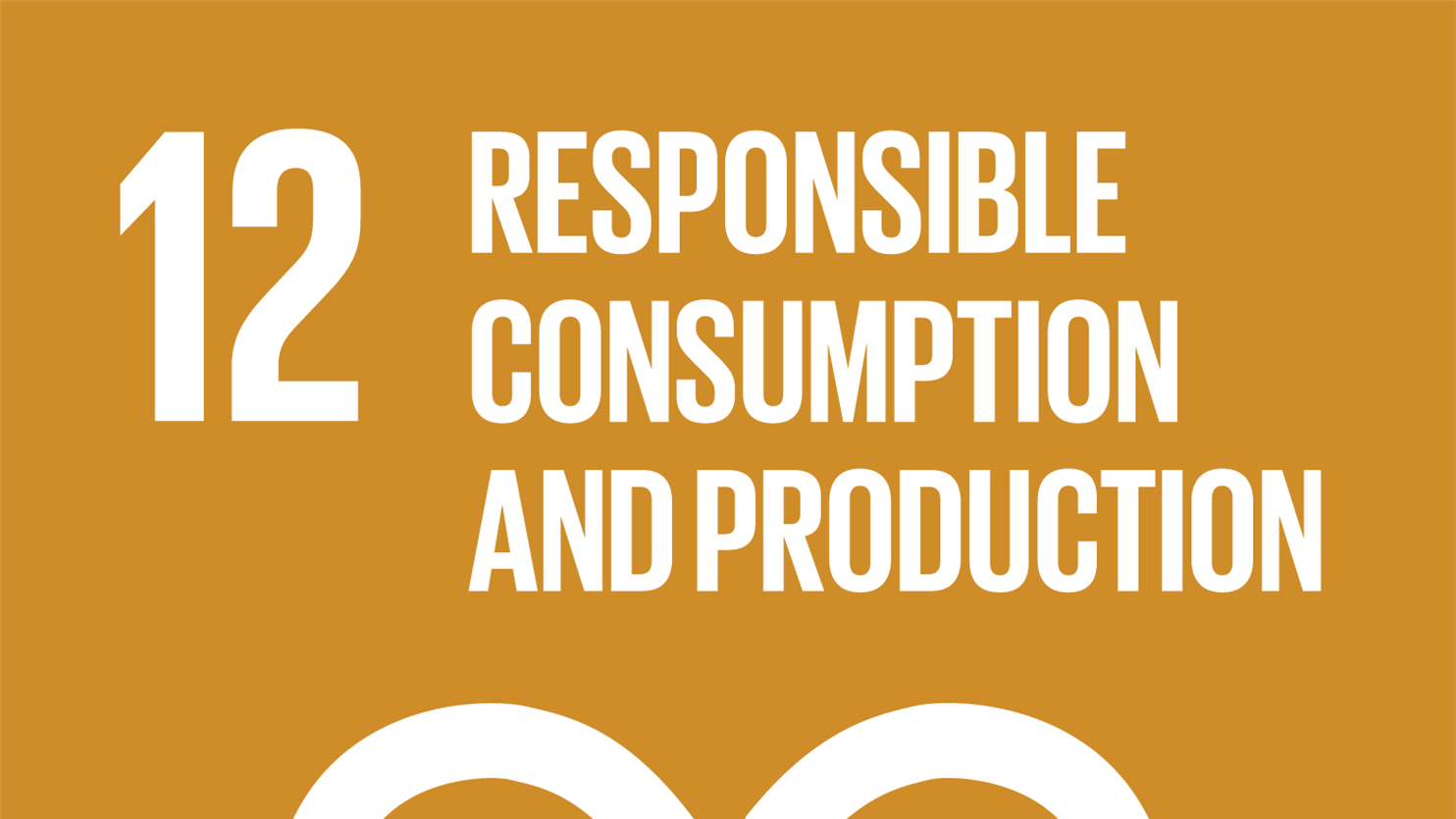 Sustainability goal 12: Responsible Consumption and Production