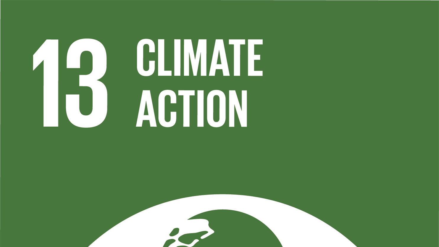 Sustainability goal 13: Climate Action