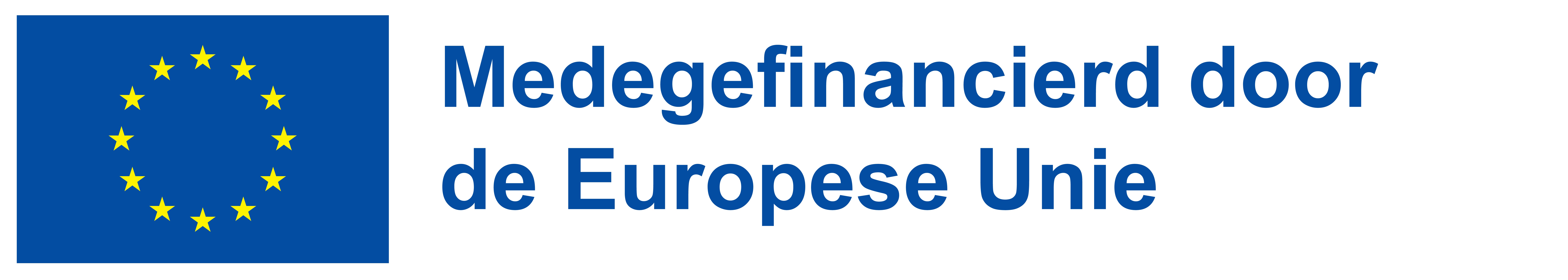 Logo medegefinancierd door EU - Blauw - Rechthoek -