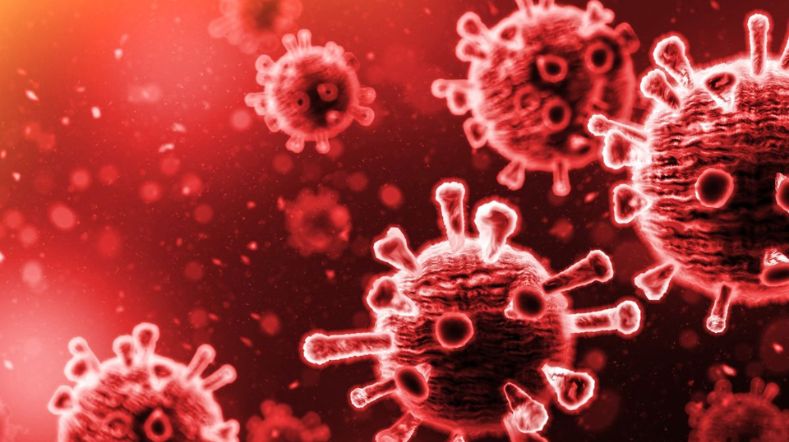 Virus afgebeeld inde rode bloedbaan