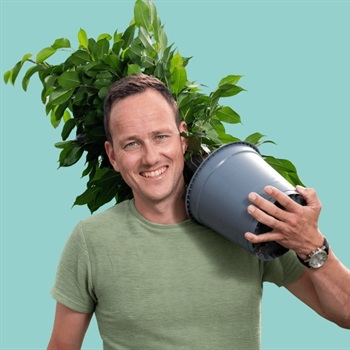 joost-jansen-plantanious