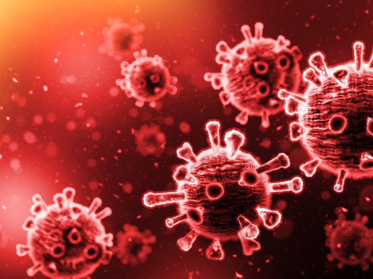 Virus in the blood stream