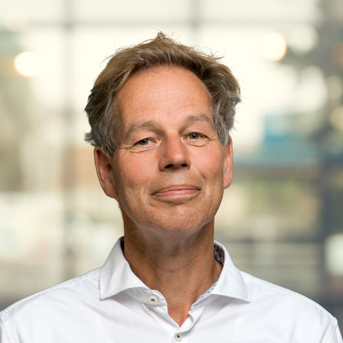 Jan Diederik van Wees