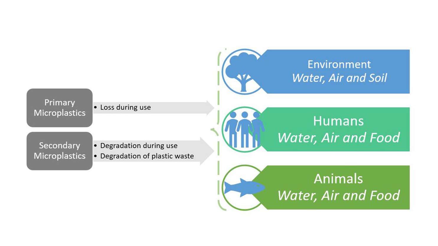 Primary and secondary microplastics