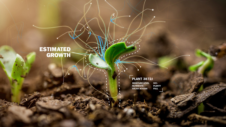 Plantje in aarde met tekst over de verwachte groei en groeifactoren