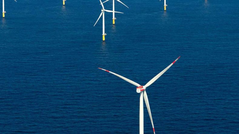 optimising large offshore wind farms index