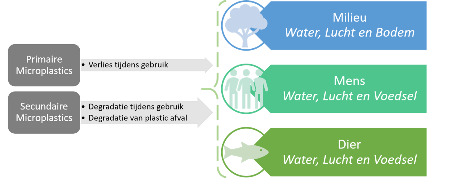 Primaire en secundaire microplastics komen terecht in het water, de lucht, ons voedsel en de bodem