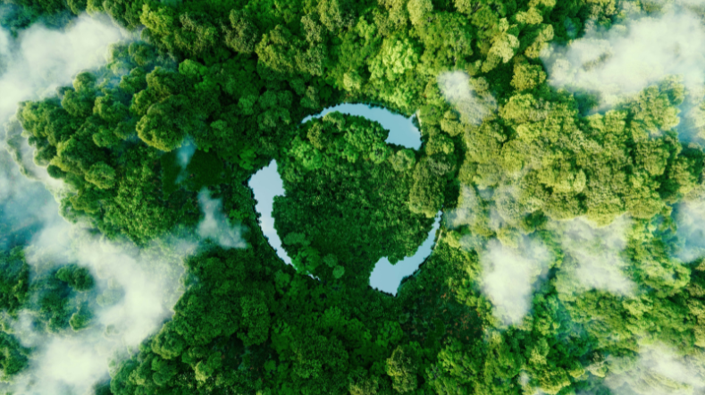 Green forest with circular drawing in the shape of river covered with light clouds