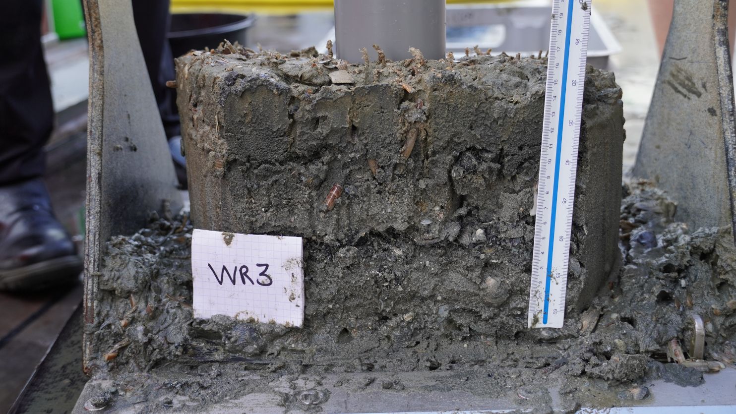 seabed sediment sample