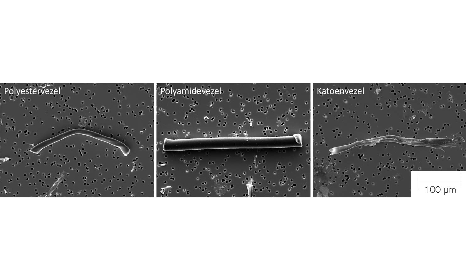 Elektronenmicroscopieplaatjes van vezels